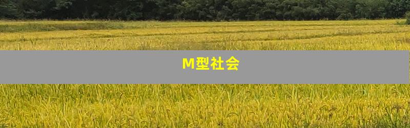 M型社会