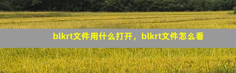 blkrt文件用什么打开，blkrt文件怎么看