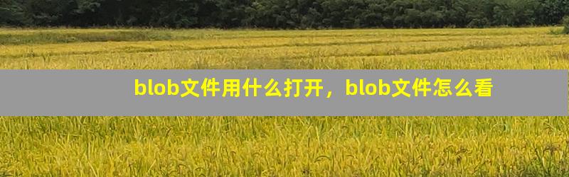 blob文件用什么打开，blob文件怎么看