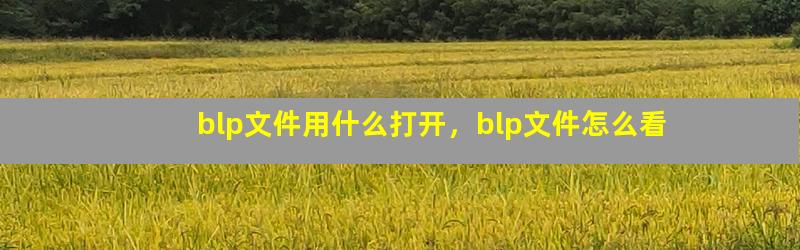 blp文件用什么打开，blp文件怎么看