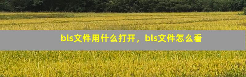 bls文件用什么打开，bls文件怎么看