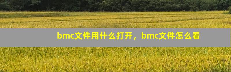 bmc文件用什么打开，bmc文件怎么看