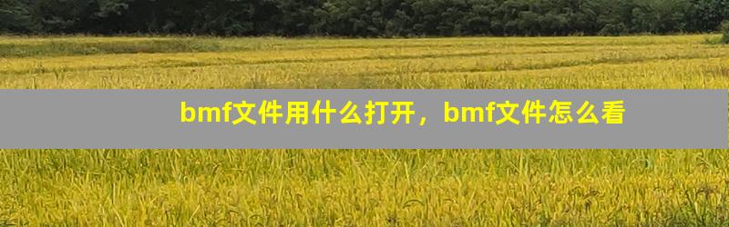 bmf文件用什么打开，bmf文件怎么看