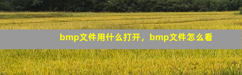 bmp文件用什么打开，bmp文件怎么看