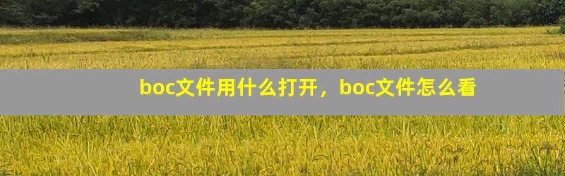 boc文件用什么打开，boc文件怎么看