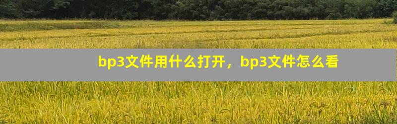 bp3文件用什么打开，bp3文件怎么看