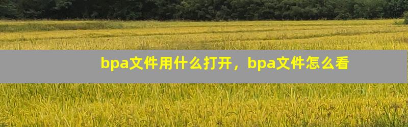 bpa文件用什么打开，bpa文件怎么看