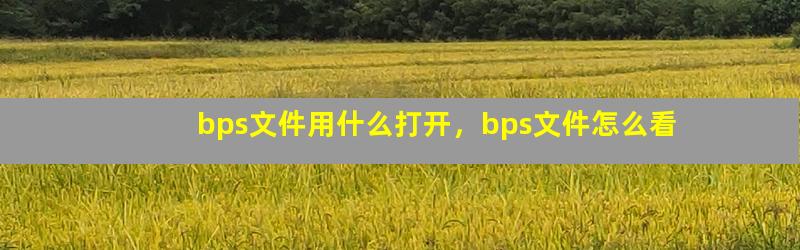 bps文件用什么打开，bps文件怎么看