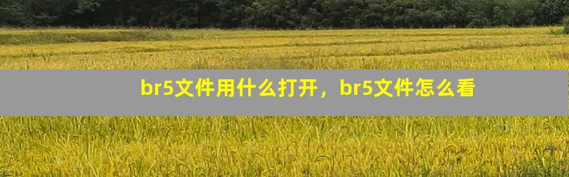 br5文件用什么打开，br5文件怎么看