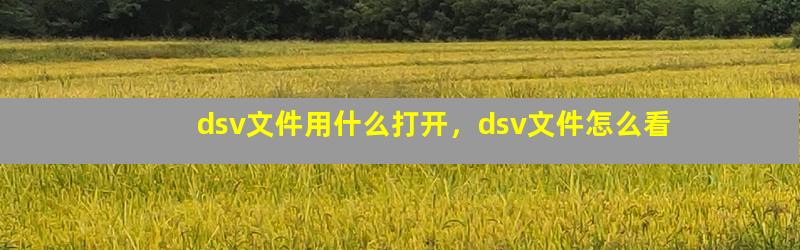 dsv文件用什么打开，dsv文件怎么看