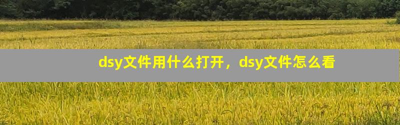 dsy文件用什么打开，dsy文件怎么看