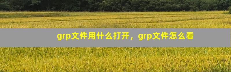 grp文件用什么打开，grp文件怎么看