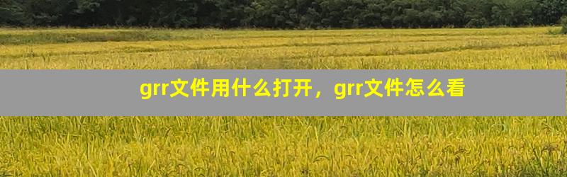 grr文件用什么打开，grr文件怎么看