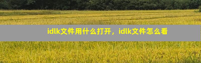 idlk文件用什么打开，idlk文件怎么看