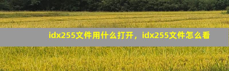 idx255文件用什么打开，idx255文件怎么看