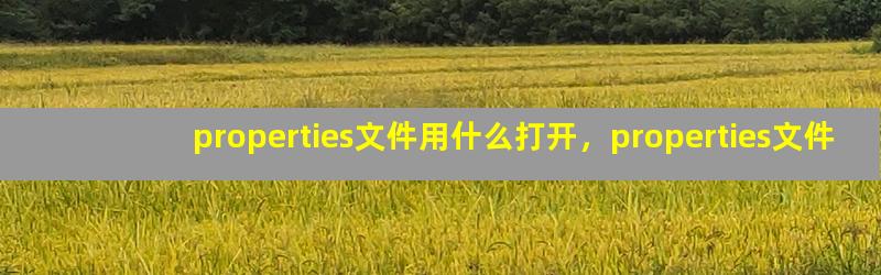 properties文件用什么打开，properties文件怎么看