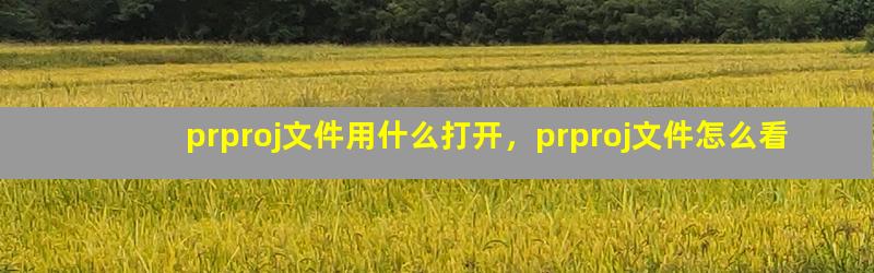 prproj文件用什么打开，prproj文件怎么看