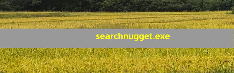 searchnugget.exe
