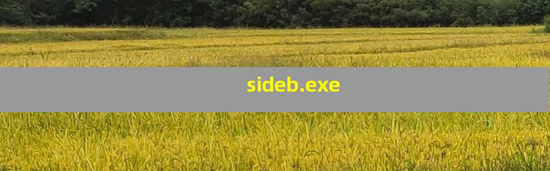 sideb.exe