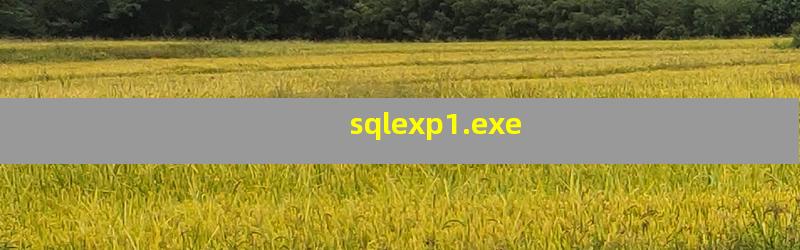 sqlexp1.exe