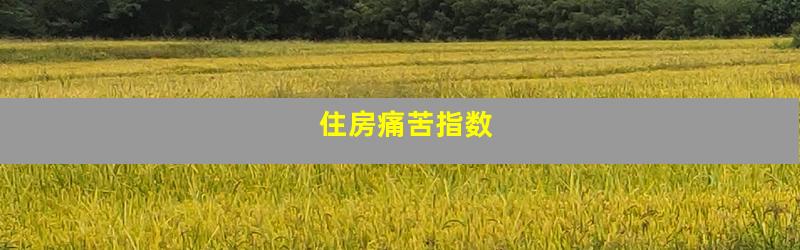 住房痛苦指数