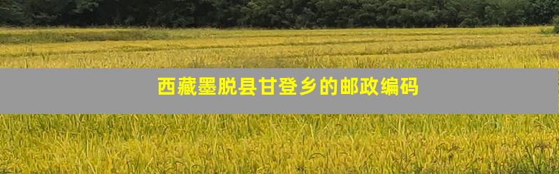 西藏墨脱县甘登乡的邮政编码