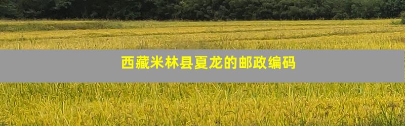 西藏米林县夏龙的邮政编码