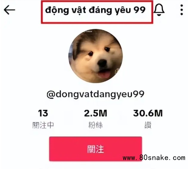 新手指南配图3